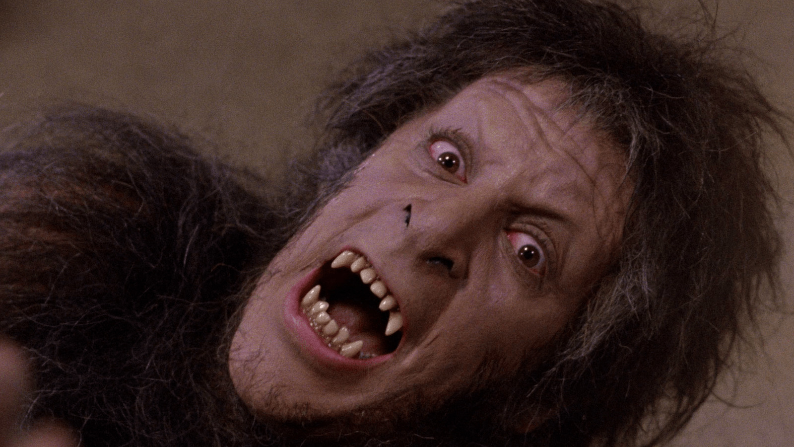 An american werewolf in london gif