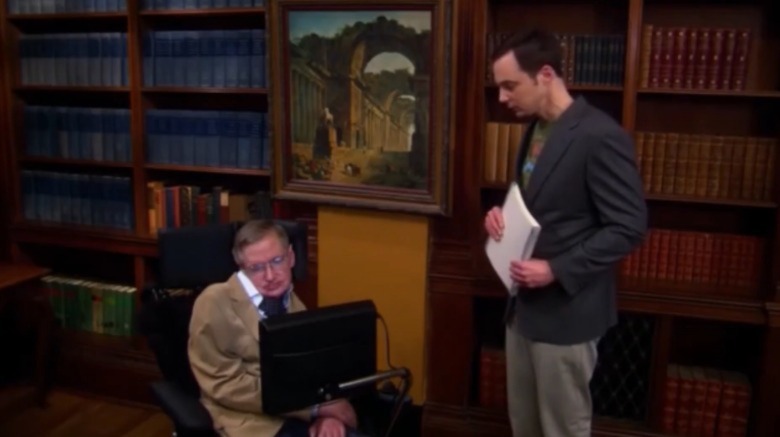 Stephen Hawking in The Big Bang Theory