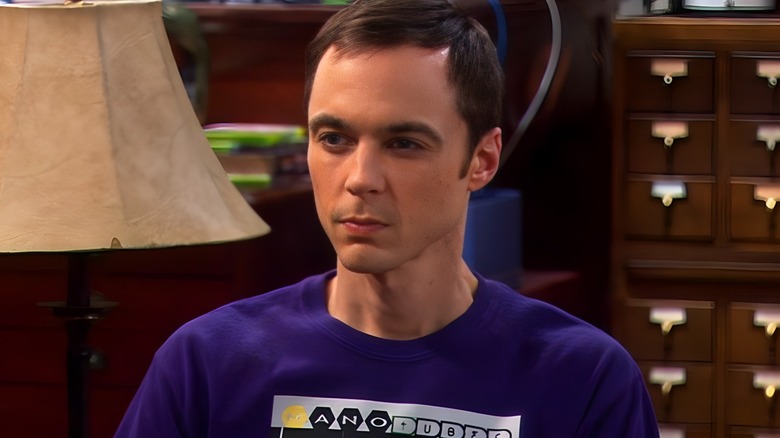 The Big Bang Theory Fans Found A Typo That Sheldon Would Take Issue With