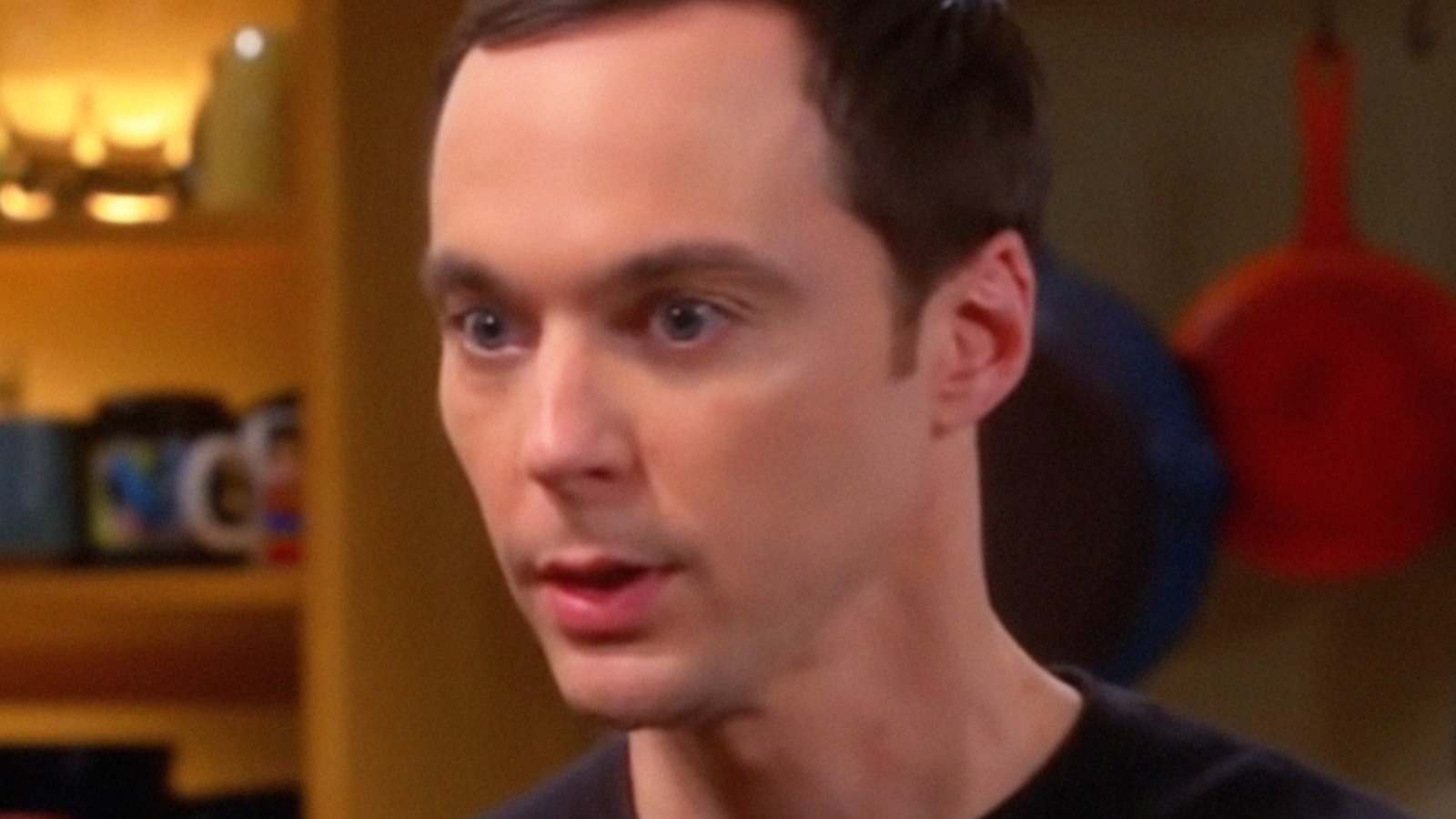 The Big Bang Theory Fans Found A Typo That Sheldon Would Take Issue With 6311