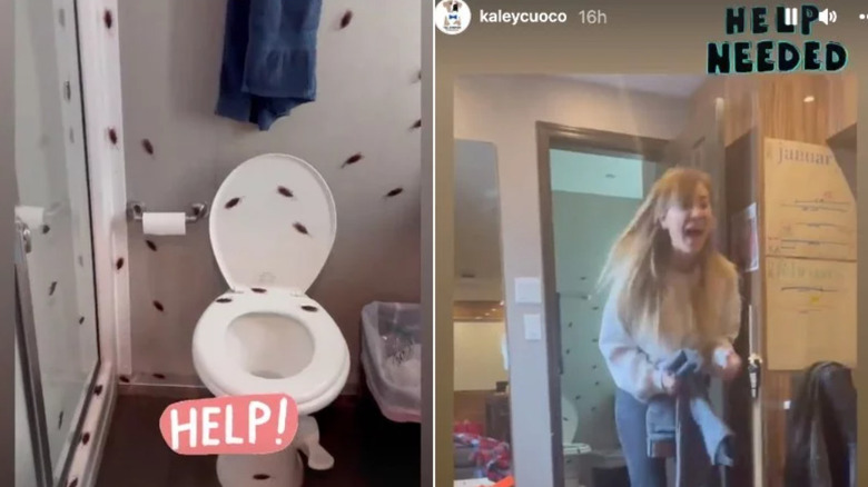 Kaley Cuoco getting pranked