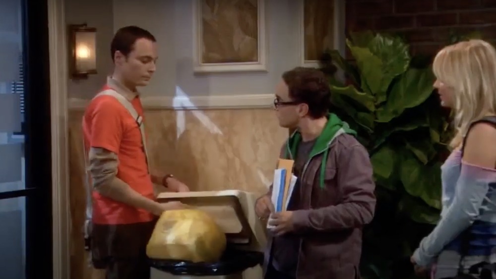 The Loobenfeld Decay episode of The Big Bang Theory