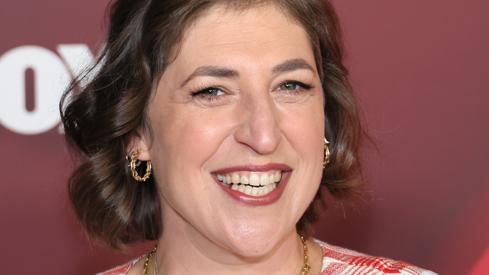 The Big Bang Theory Star Mayim Bialik's Hilarious Encounter With ...