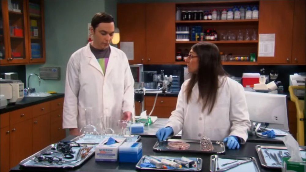 Sheldon and Amy on The Big Bang Theory