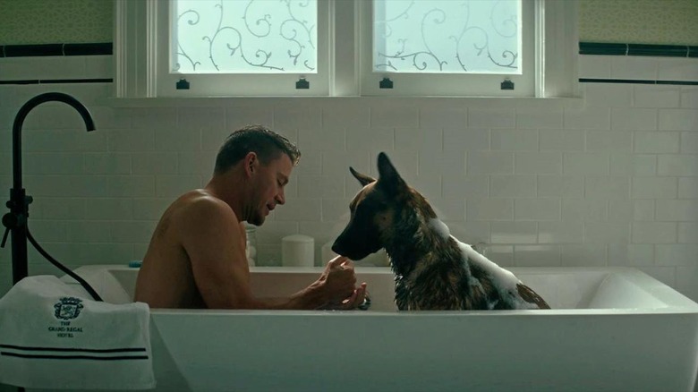 Jackson Briggs bathing with a dog