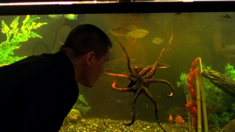 Josh Brolin looks at octopus
