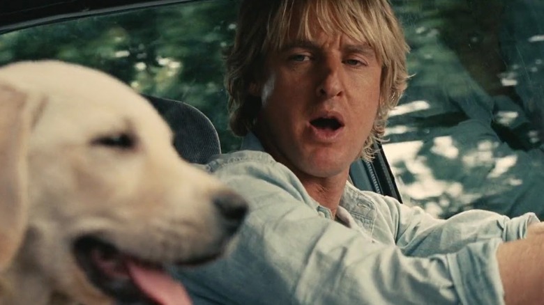 Owen Wilson driving Marley and Me