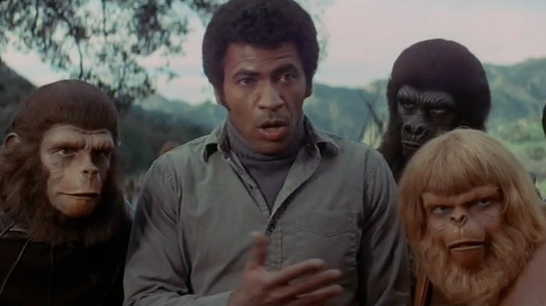 MacDonald speaks with the apes