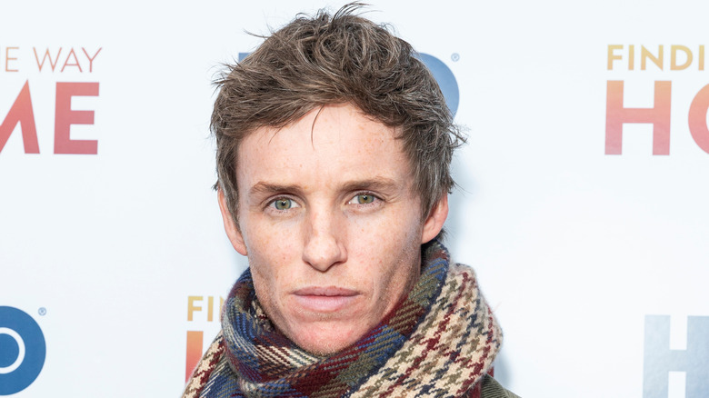 Eddie Redmayne gazing