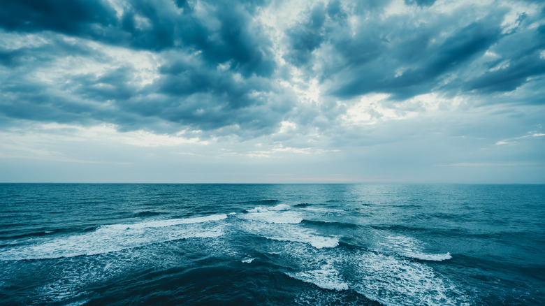 Stormy coastline