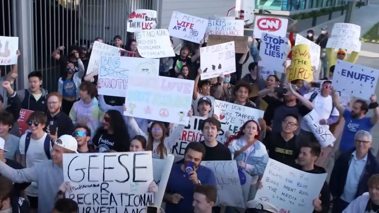 Group of Birds Aren't Real protestors