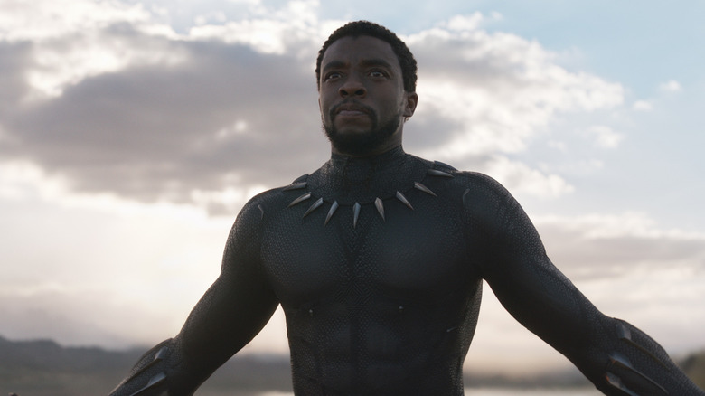 T'Challa standing on plain