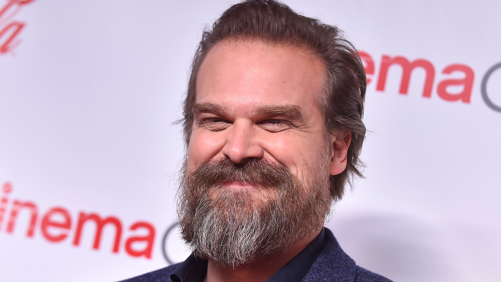 The Rise of David Harbour, Stranger Things, David Harbour, career, Black  Widow