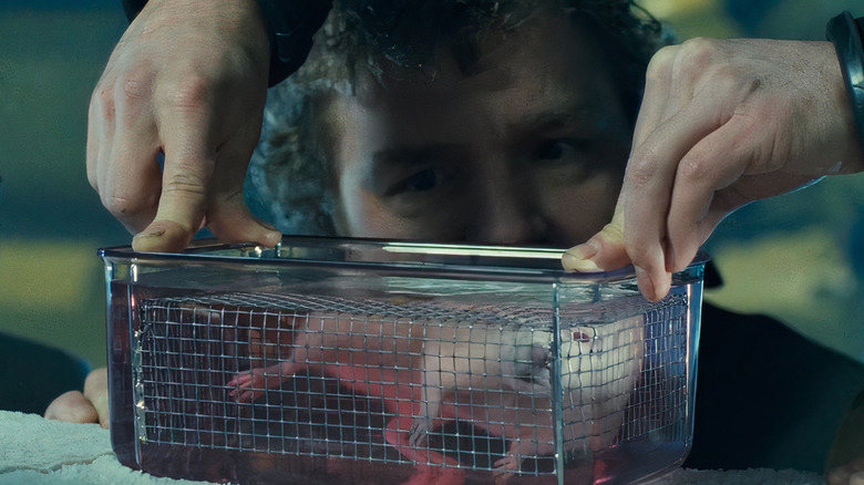 White rat submerged in water cage