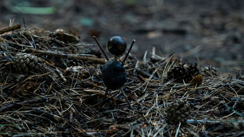 Chestnut man figurine in woods