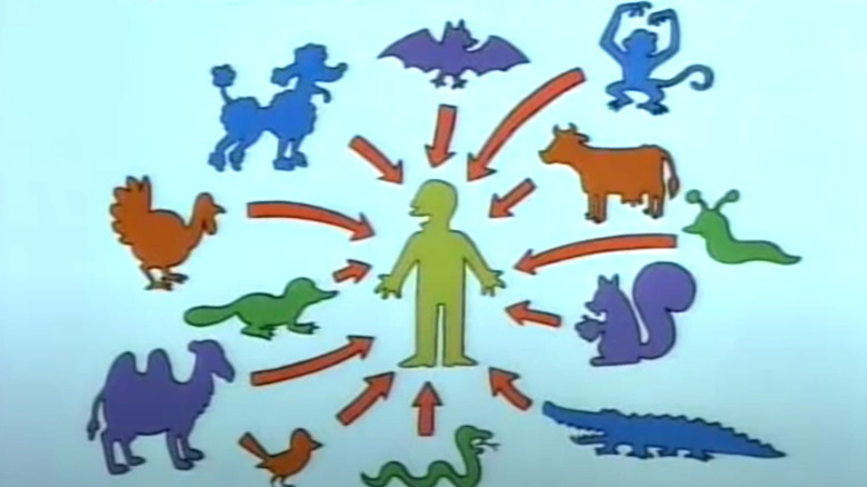 A satirical version of the Food Chain