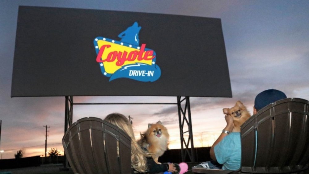 The Coyote Drive-In
