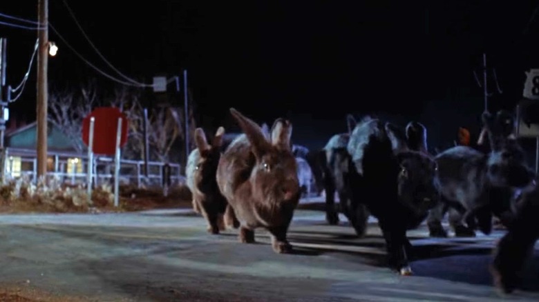 Giant rabbits stampeding town in Night of the Lepus