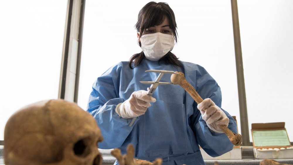 An anthropologist looks at unearthed bones.