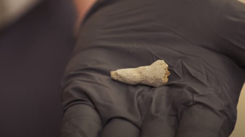 Hand holding mysterious Oak Island object