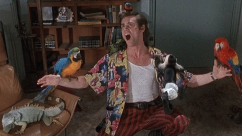 Ace singing while holding parrots