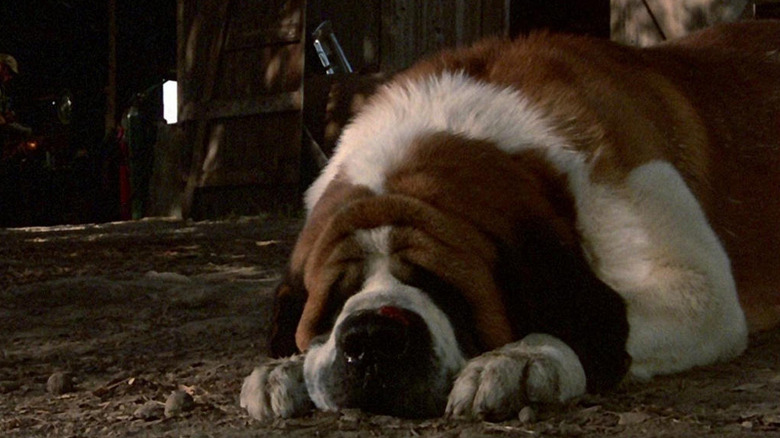 The Dark History Of Cujo