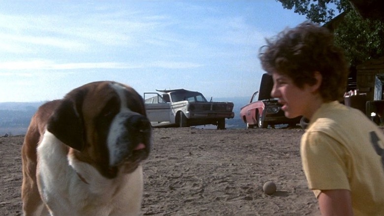 Brett and Cujo playing together on farm