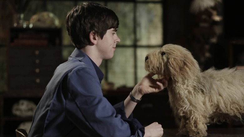 Norman petting a dog