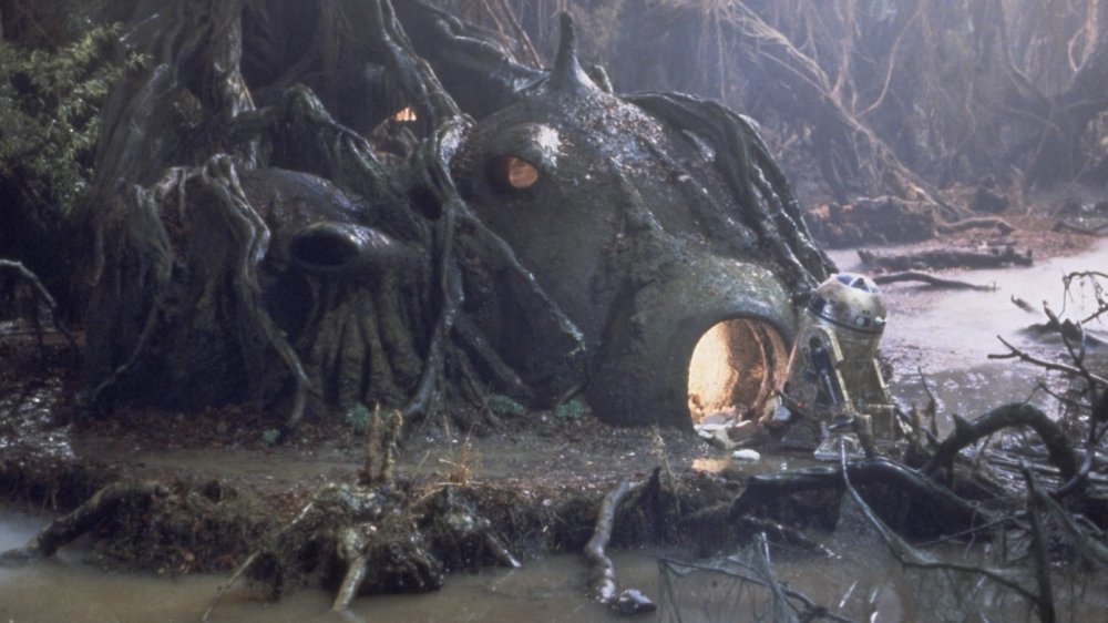 Yoda's hut on Dagobah