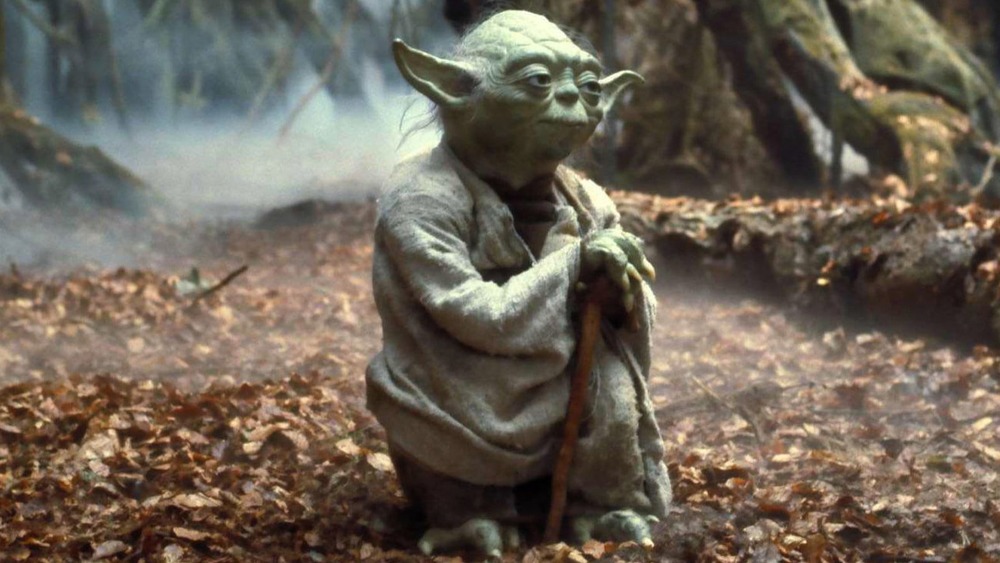 Yoda in Dagobah swamp