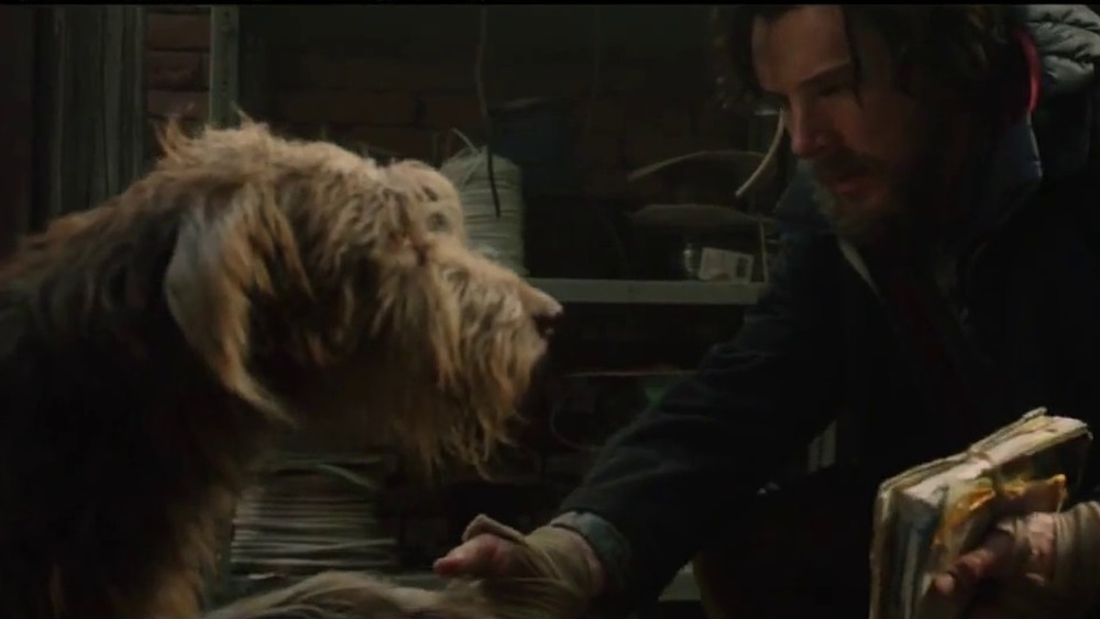 Doctor Strange helps stray dog