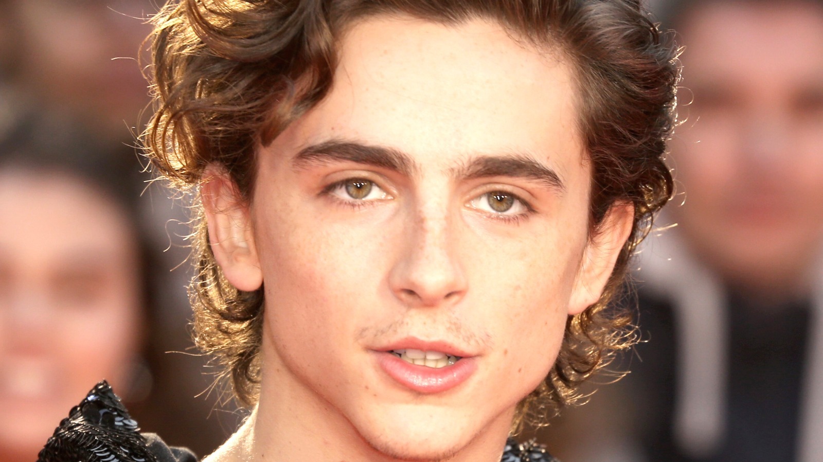 Dune' Director Says He Had to 'Direct Timothée Chalamet's Haircut