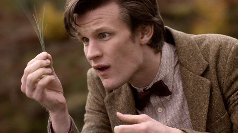 The 11th Doctor examining grass