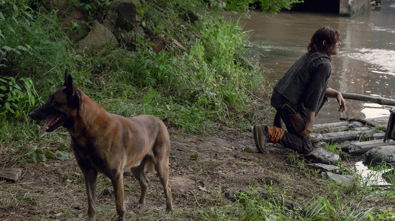 The Dog Theory That Has The Walking Dead Fans Worried About Daryl