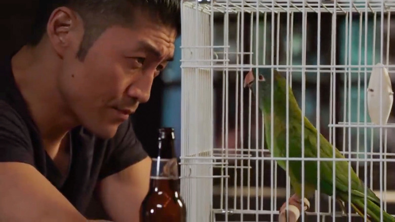 Dr. Ethan Choi stares at his parrot on Chicago Med