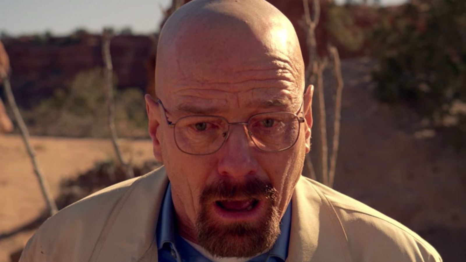 Was Breaking Bad's Airplane Crash Inspired By A Real Event? - IMDb