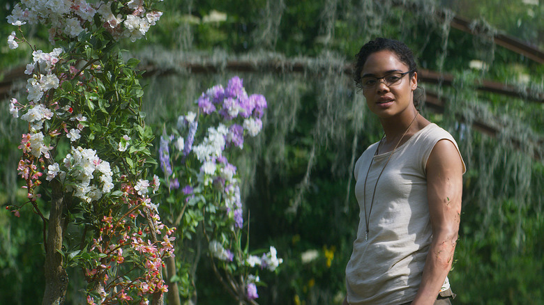 Josie standing amid flowers