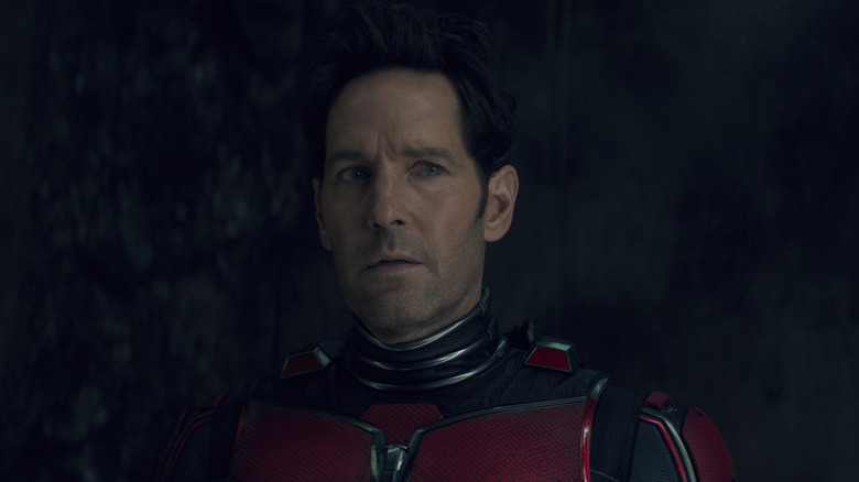 Ant-Man stares