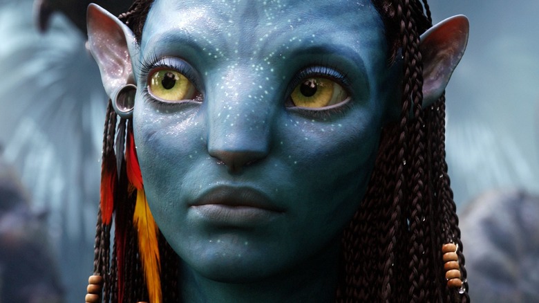 Neytiri Sully in 2023  Avatar characters, Avatar movie, Avatar