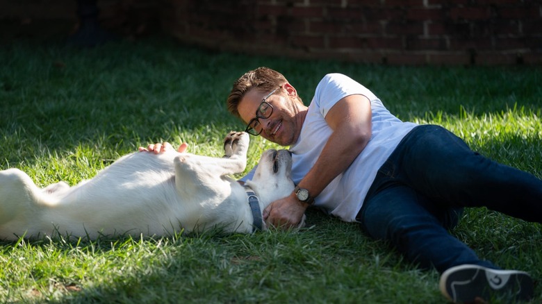 Rob Lowe plays with dog