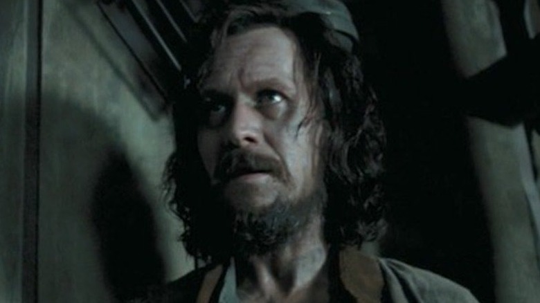 Harry Potter Sirius Black Standing