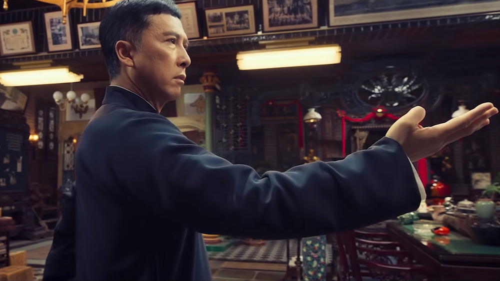 Ip Man Fighting Stance