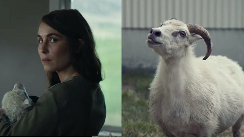 Icelandic sheep and Noomi Rapace holding lamb baby