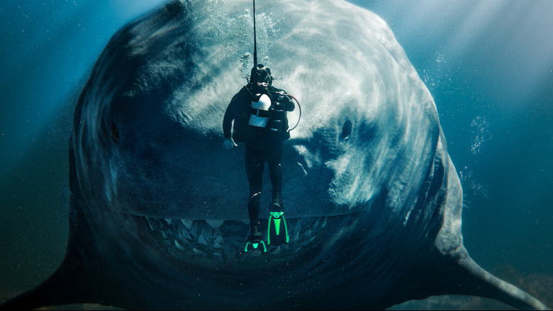 Meg confronting a diver