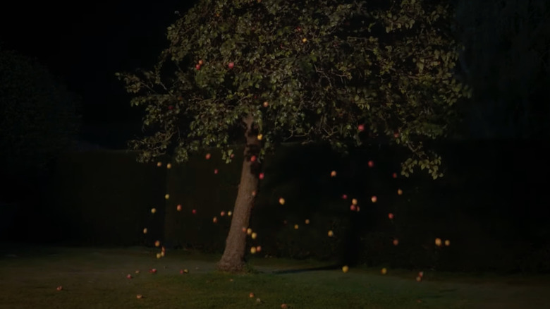 Apples falling from the tree