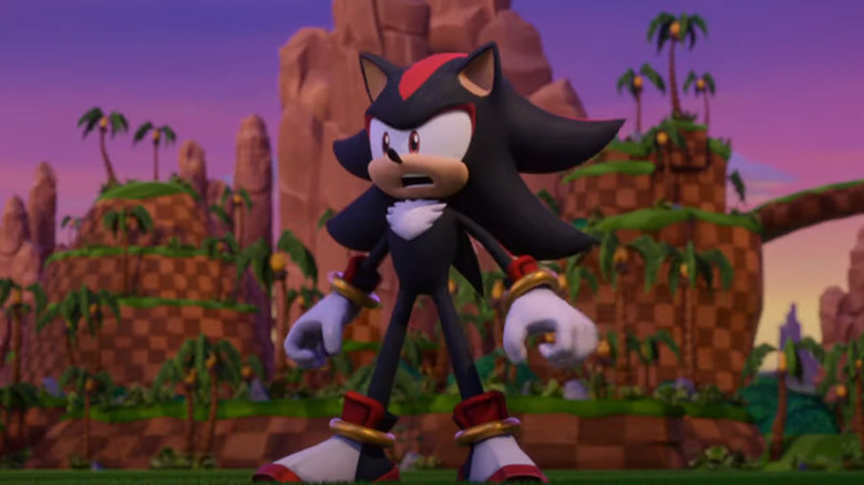 Shadow yelling for Sonic