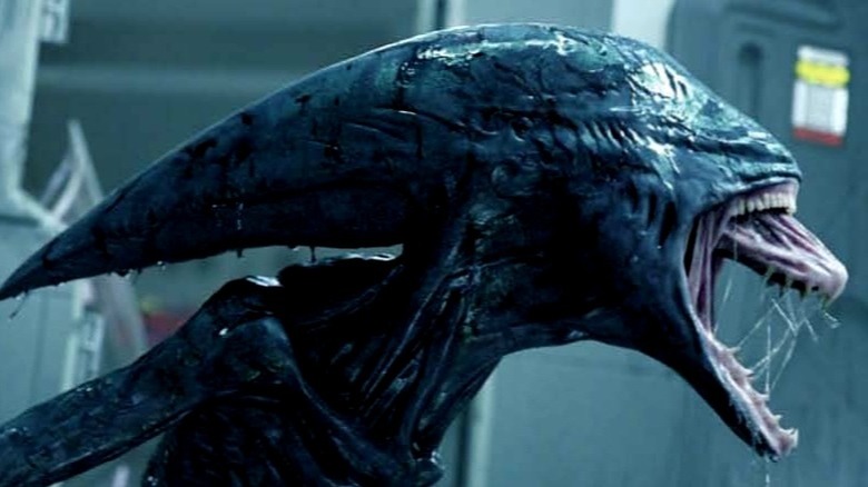 a xenomorph growls