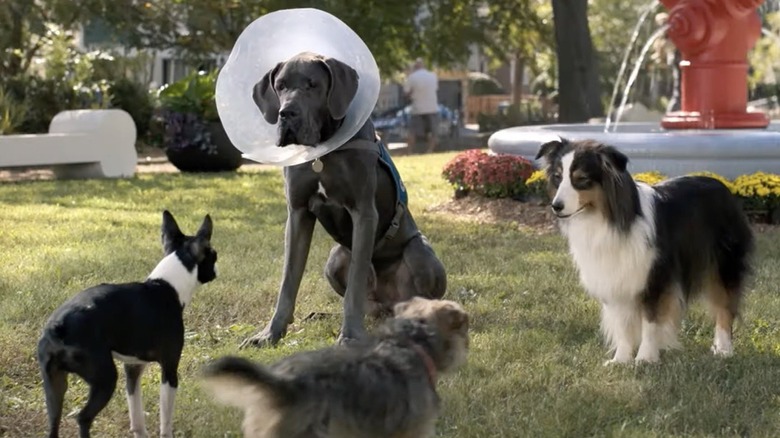 Reggie meeting Hunter and Maggie