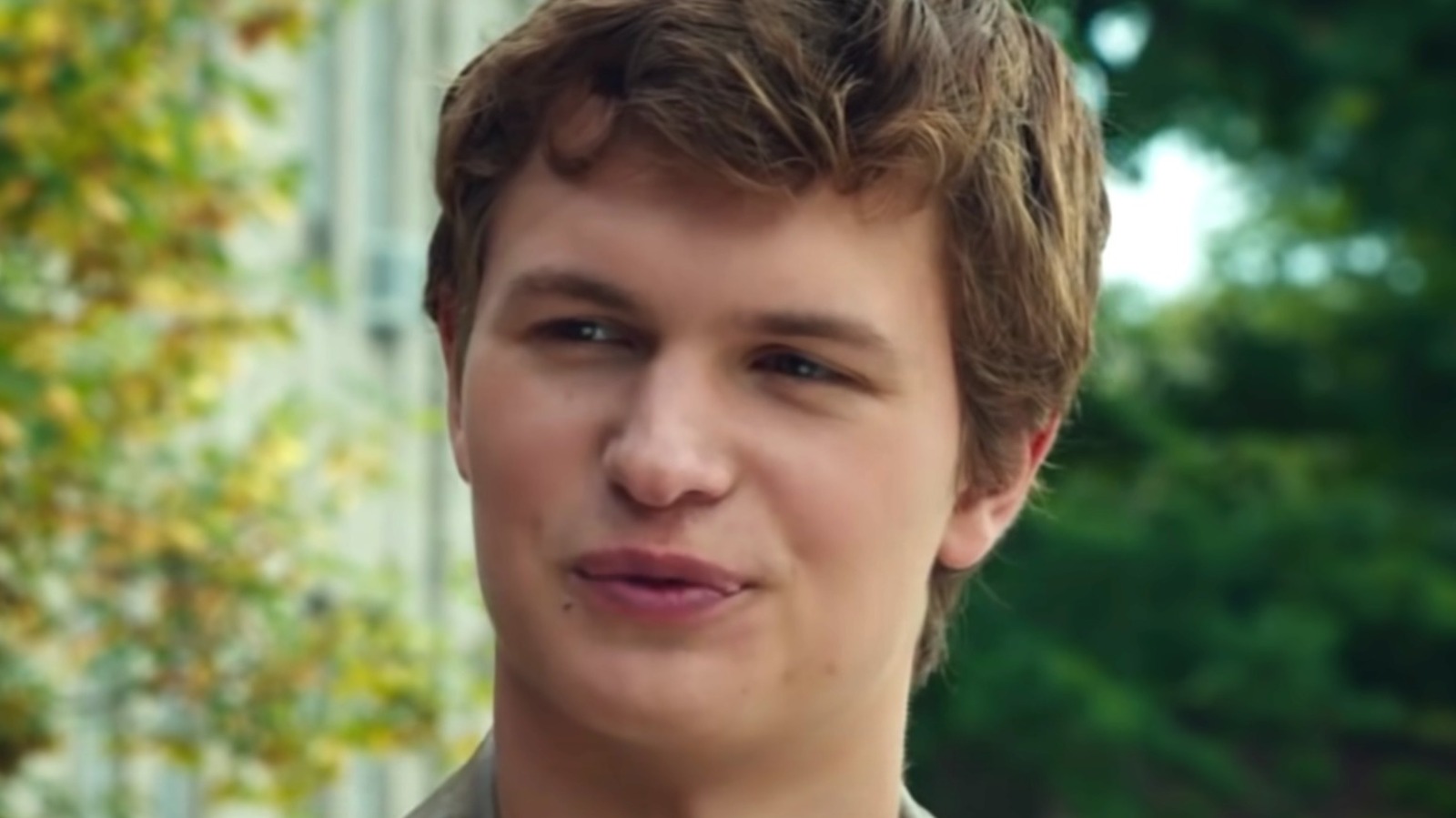 ansel elgort the fault in our stars its a metaphor