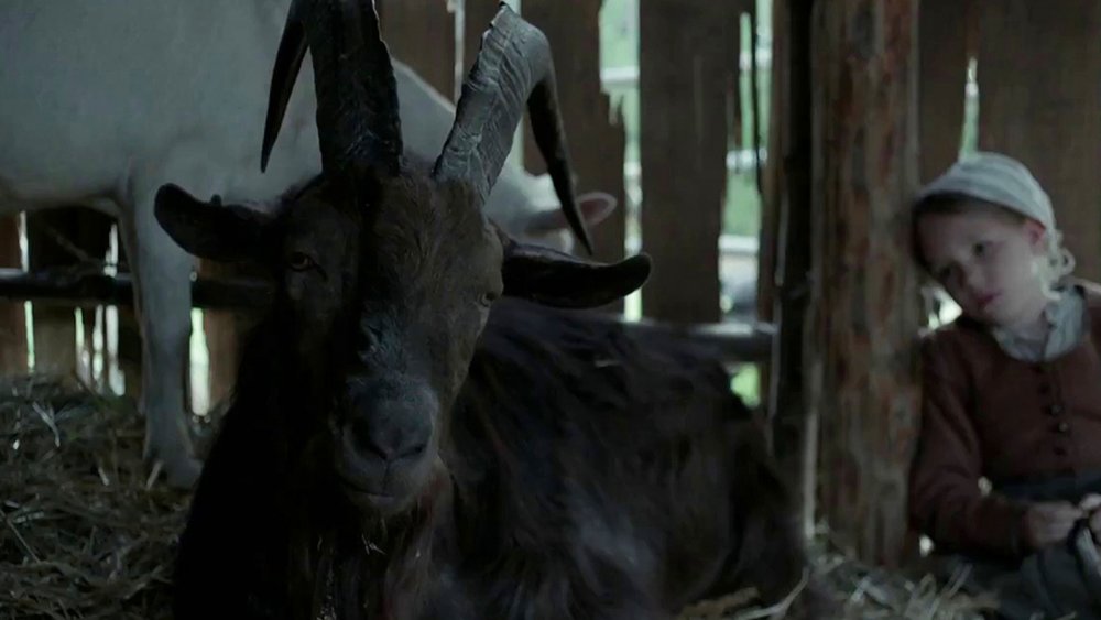 Black Phillip and Ellie Granger as Mercy in The Witch